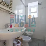 Li Curiosi Puglia On Line توري فادو