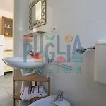 Li Curiosi Puglia On Line شقة توري فادو