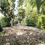 Li Curiosi Puglia On Line 아파트 *