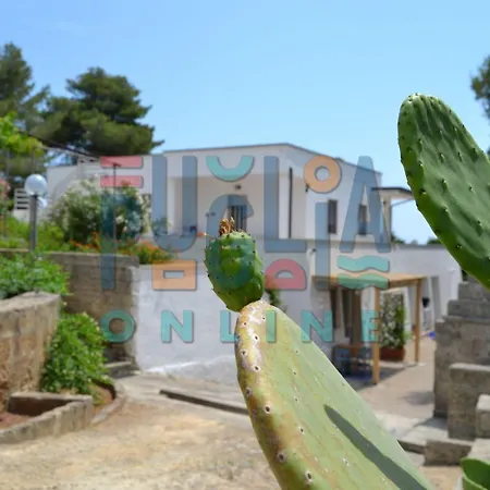Li Curiosi Puglia On Line Apartmán *