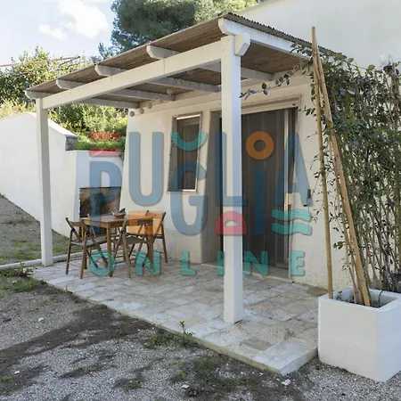 Li Curiosi Puglia On Line *