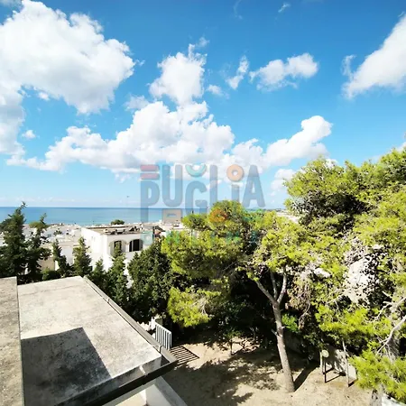 Li Curiosi Puglia On Line Apartmán