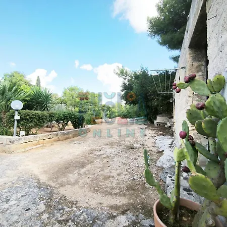 Li Curiosi Puglia On Line Apartmán Torre Vado