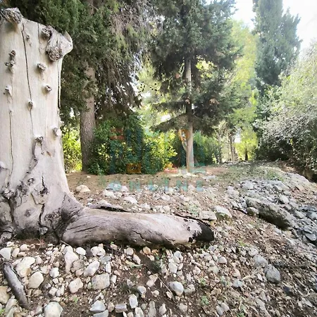Apartmán Li Curiosi Puglia On Line *