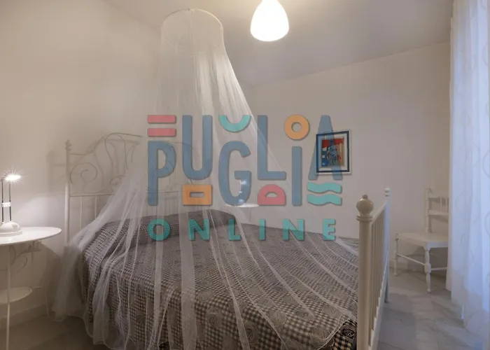 Li Curiosi Puglia On Line * 托雷瓦多