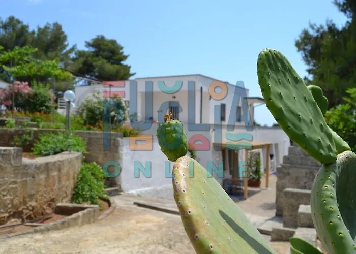 Li Curiosi Puglia On Line 公寓 *