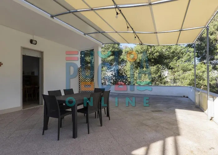 Li Curiosi Puglia On Line *