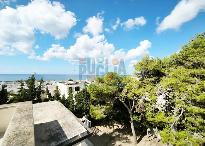 Li Curiosi Puglia On Line Apartment