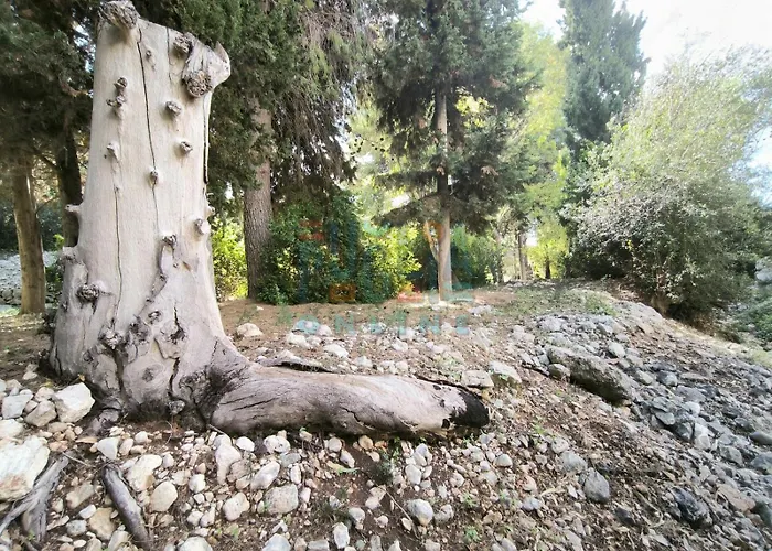 Apartment Li Curiosi Puglia On Line *