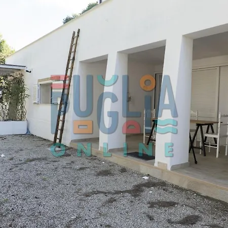 Li Curiosi Puglia On Line *