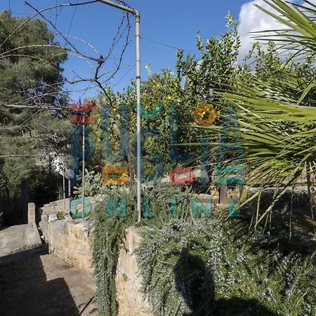 Li Curiosi Puglia On Line Apartament