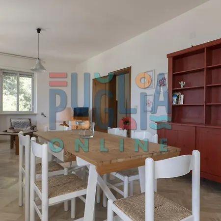 Li Curiosi Puglia On Line