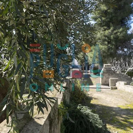 Li Curiosi Puglia On Line