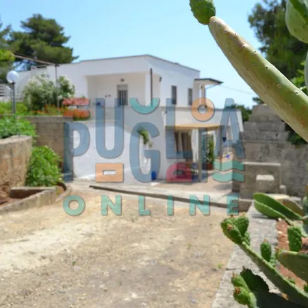 Li Curiosi Puglia On Line * Torre Vado