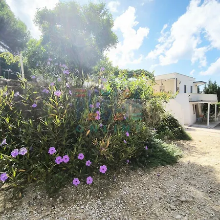 Li Curiosi Puglia On Line * Torre Vado