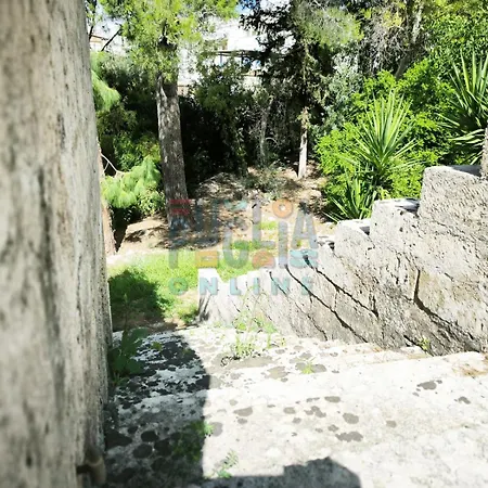 Li Curiosi Puglia On Line