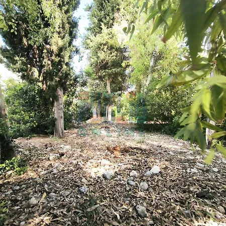 Li Curiosi Puglia On Line Apartament *