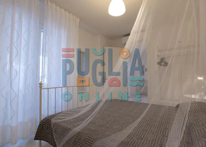 Li Curiosi Puglia On Line * טורה ואדו