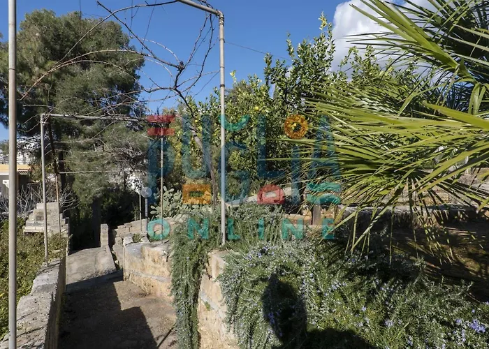 Li Curiosi Puglia On Line דירה