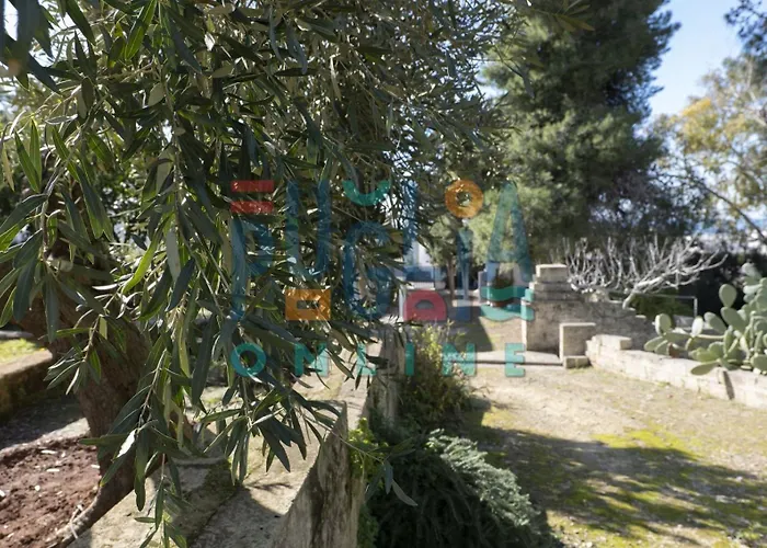 Li Curiosi Puglia On Line