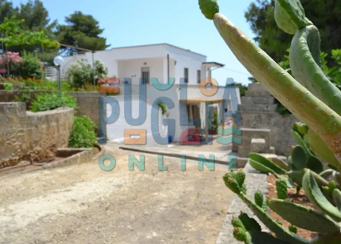 Li Curiosi Puglia On Line * טורה ואדו