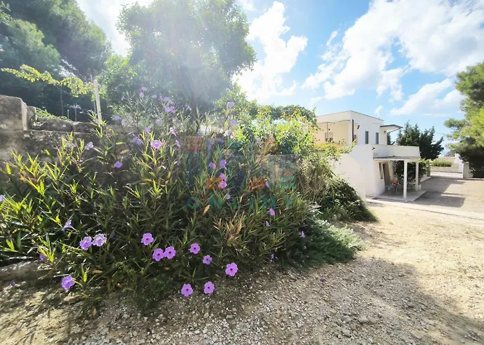 Li Curiosi Puglia On Line * Torre Vado