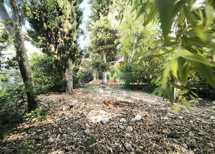 Li Curiosi Puglia On Line Apartament *